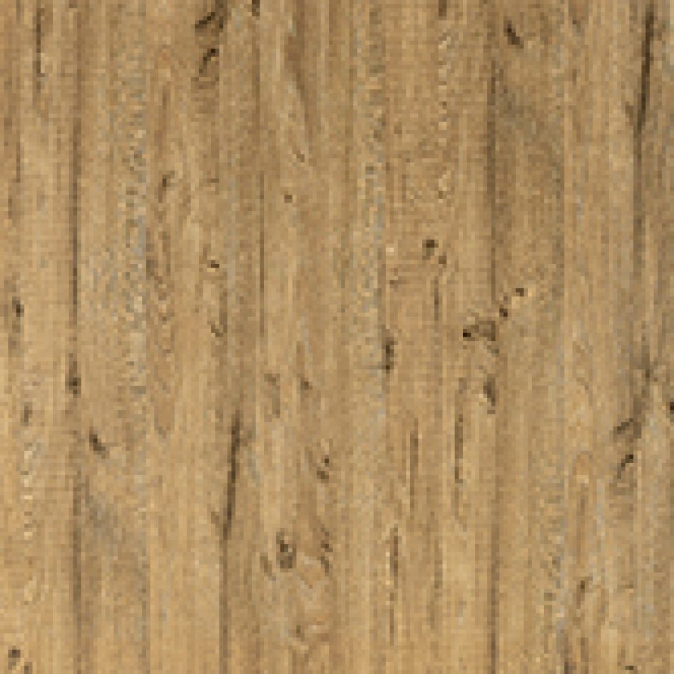 quercia-chiara